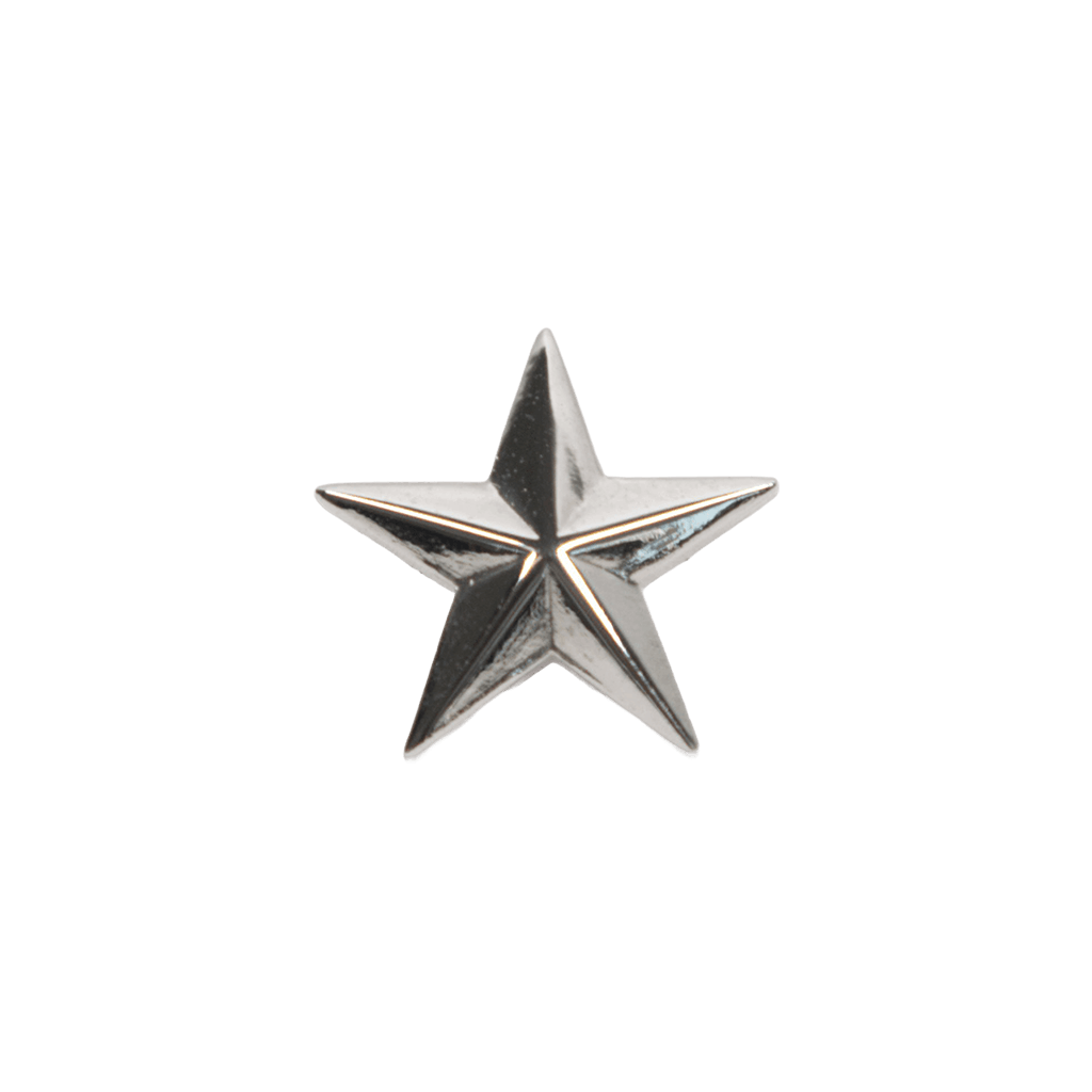 Photo of Silver Star pin