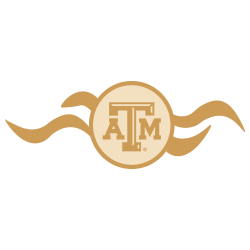 Sea Aggie Former Student Network Chair