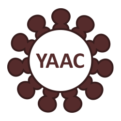 Young Alumni Advisory Council Member